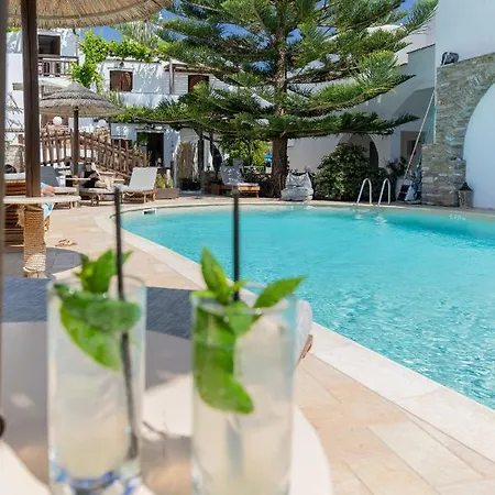 Anemomilos Aparthotel Agia Anna (Naxos)