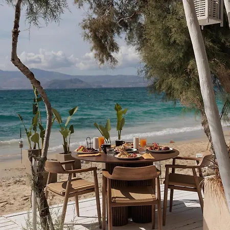 Aparthotel Anemomilos Agia Anna (Naxos)